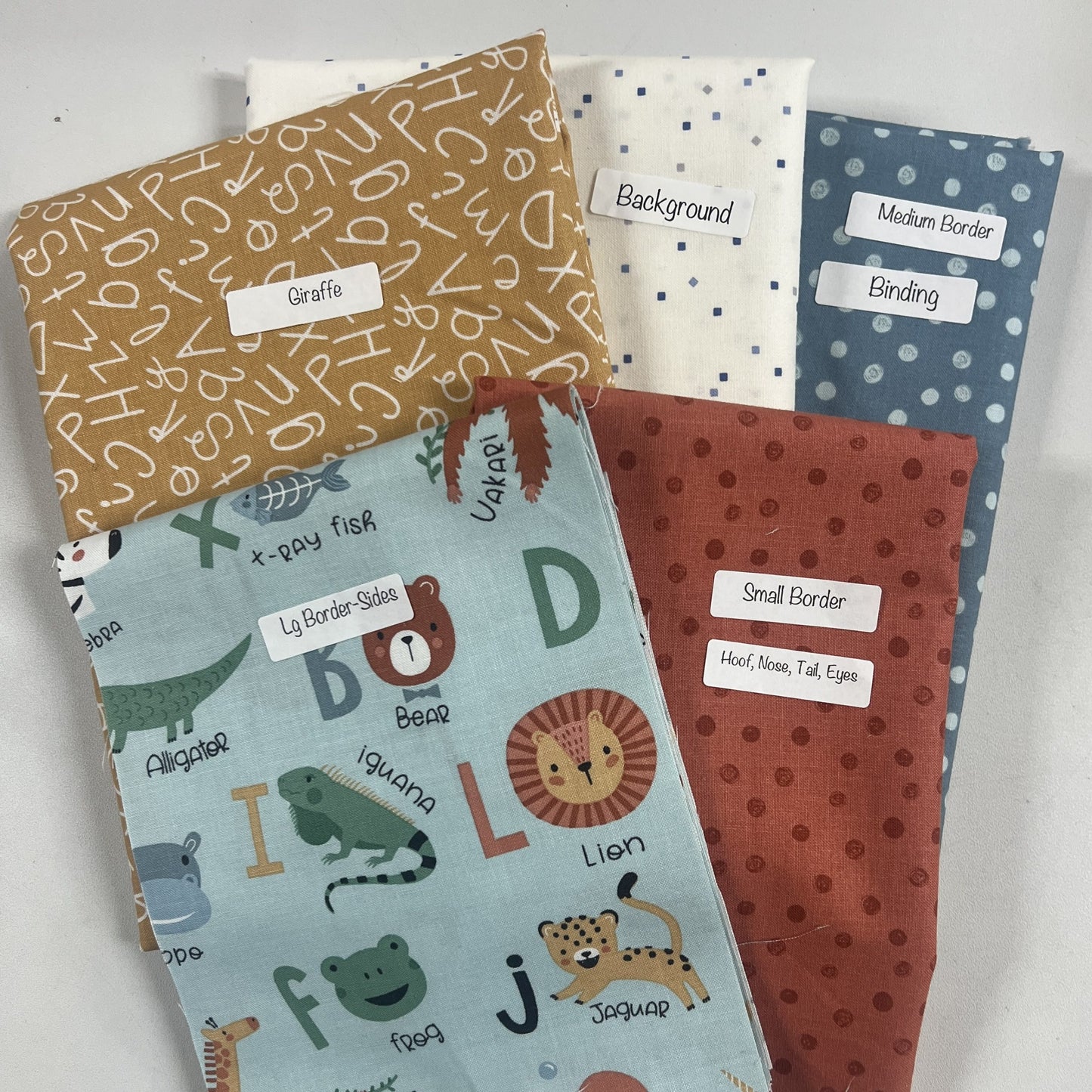 Aiden's Adventure Quilt Kit
